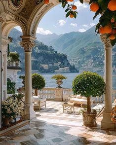 an orange tree is in the middle of a patio area with columns and potted plants