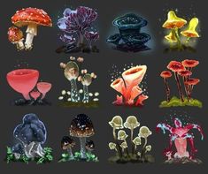 a bunch of different types of mushrooms on a black background