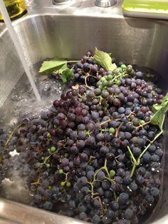 grapes are being washed in a stainless steel sink