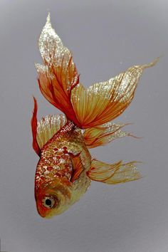 a goldfish swimming in the water with its tail extended and it's head turned to the side