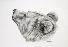 a black and white photo of a bear's head with its eyes closed to the side