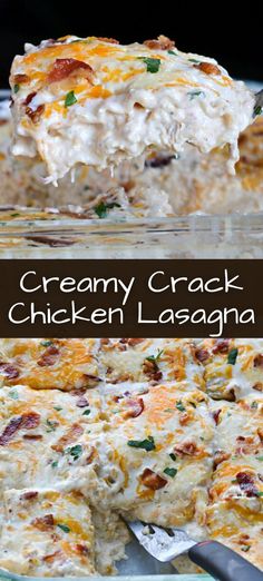 In Laws Dinner Recipes, Easy Meals To Make With Chicken, Crazy Recipes To Try, Crockpot Chicken Lasagna, Chicken Bacon Ranch Lasagna, Easy Chicken Lasagna Recipe, Easy Chicken Lasagna, Christmas Recipes Dinner, Recipes With Bacon