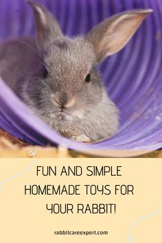 [object Object] Bunny Chew Toys Diy, Diy Rabbit Burrow, Activities For Rabbits, Bunny Chew Toys, Diy Rabbit Playground, Bunny Hideout Diy, Diy Bunny Enrichment, Diy Rabbit Enrichment, Bunny Enrichment Ideas