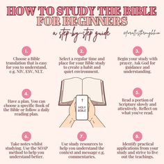 how to study the bible for beginners and get fit - proof books info sheet