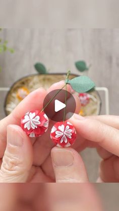 a person is holding some tiny red and white flowers with green leaves on them,