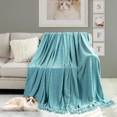 a cat laying on the floor next to a couch covered in a blue throw blanket