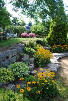 a garden with yellow flowers and rocks in the foreground, surrounded by greenery