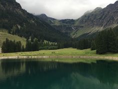 a lake surrounded by mountains with animals grazing on the grass