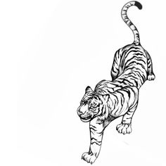 a black and white drawing of a tiger on a white background with the tail extended