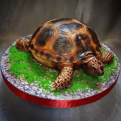 a tortoise sitting on top of a red and silver plate covered in green grass