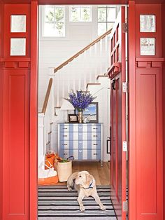 a dog is sitting in the doorway of a room with red doors and striped rug