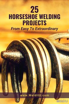 the cover of 25 horse shoe welding projects from easy to extraordinary