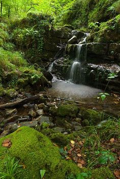 a small waterfall in the middle of a forest with green mossy rocks and trees