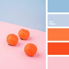 three oranges sitting on top of a pink and blue table