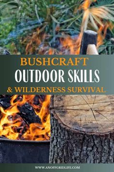 bushcraft outdoor skills and wilderness survival with text overlay that reads bushcraft outdoor skills and wilderness survival