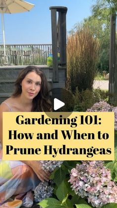 a woman sitting on the ground in front of flowers with text overlay reading gardening 101 how and when to prune hydrangeas