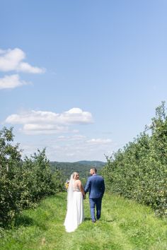 a bride and groom walking through an apple orchard in the countryside on their wedding day