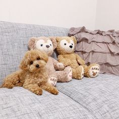 three teddy bears are sitting on the couch