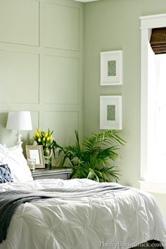 a bedroom with green walls, white bedding and plants in the window sill