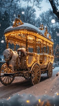 a horse drawn carriage is decorated with christmas lights in the snow and surrounded by trees