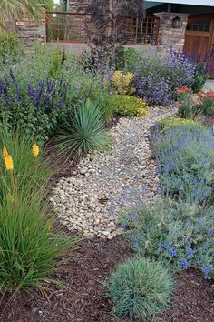 a garden filled with lots of different types of flowers and plants next to a building