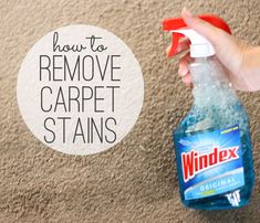 someone is cleaning carpet with a bottle of cleaner and the words how to remove carpet stains