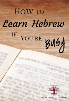 an open book with the title how to learn hebrew if you're bugy