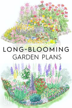 long - blooming garden plans with colorful flowers and plants in the center, along with text overlay that reads long - blooming garden plans