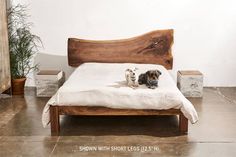 two dogs are sitting on a bed made out of wooden planks and white sheets