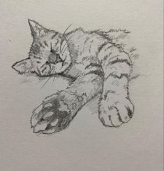 a pencil drawing of a cat sleeping on the ground