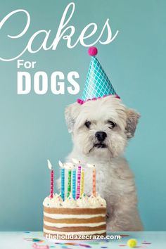 a white dog sitting in front of a birthday cake