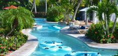 several inflatable floats are lined up along the edge of a pool surrounded by palm trees