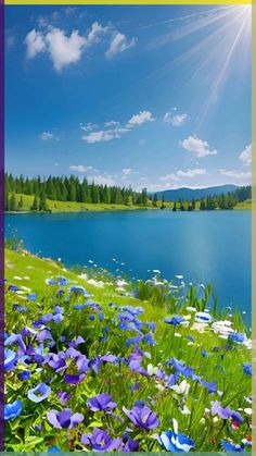 the sun shines brightly over a lake with wildflowers