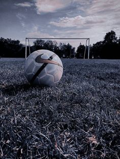 a soccer ball sitting on top of a lush green field next to a goal post