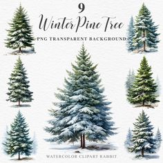 watercolor winter pine tree clipart set with different types of trees and evergreens