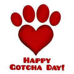 a red heart shaped paw print with the words happy cotcha day