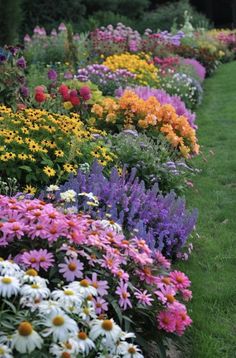 many different types of flowers in the grass