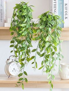 a green plant hanging from a shelf next to an alarm clock and books on top of it