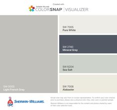 the color scheme for colorsnap visualizer is shown in gray, white and blue