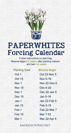 the paper white's foraging calendar is displayed on an iphone screen, with text below it