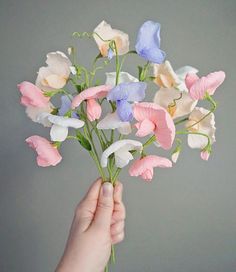 a hand holding a bouquet of flowers with pink, blue and white flowers in it