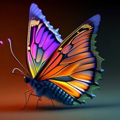 a colorful butterfly flying through the air