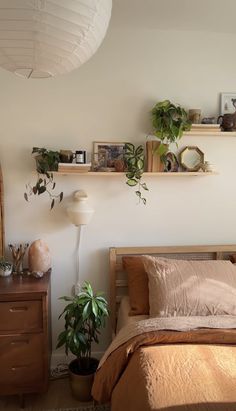 a bed room with a neatly made bed and some plants on the shelves above it