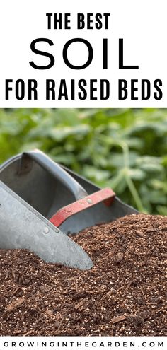 the best soil for raised beds