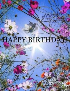 the words happy birthday are surrounded by wildflowers and daisies on a sunny day