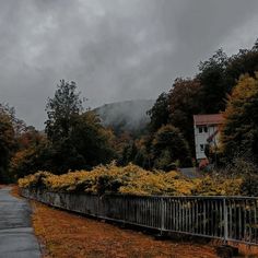 the road is lined with trees and bushes on both sides, under a cloudy sky