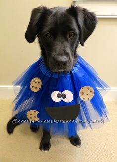 a black dog wearing a blue dress with cookie cookies on it's chest and nose