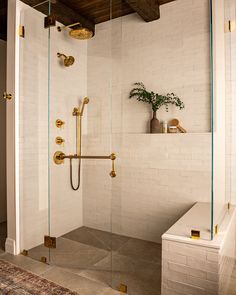 a bathroom with a walk in shower next to a bathtub and a potted plant