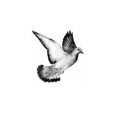 a black and white drawing of a bird flying