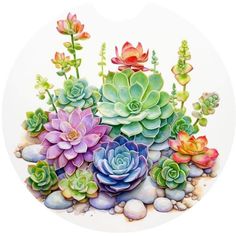 a painting of succulents and rocks on a white background